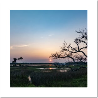 Live oak sunset Posters and Art